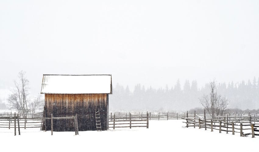 A Snow Cave Shelter