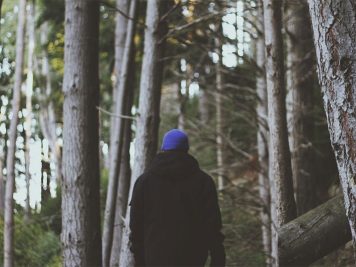 How to survive in the wilderness without any supplies