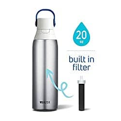 Water bottle filter