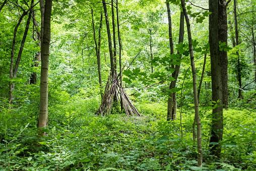 hidden survival shelter