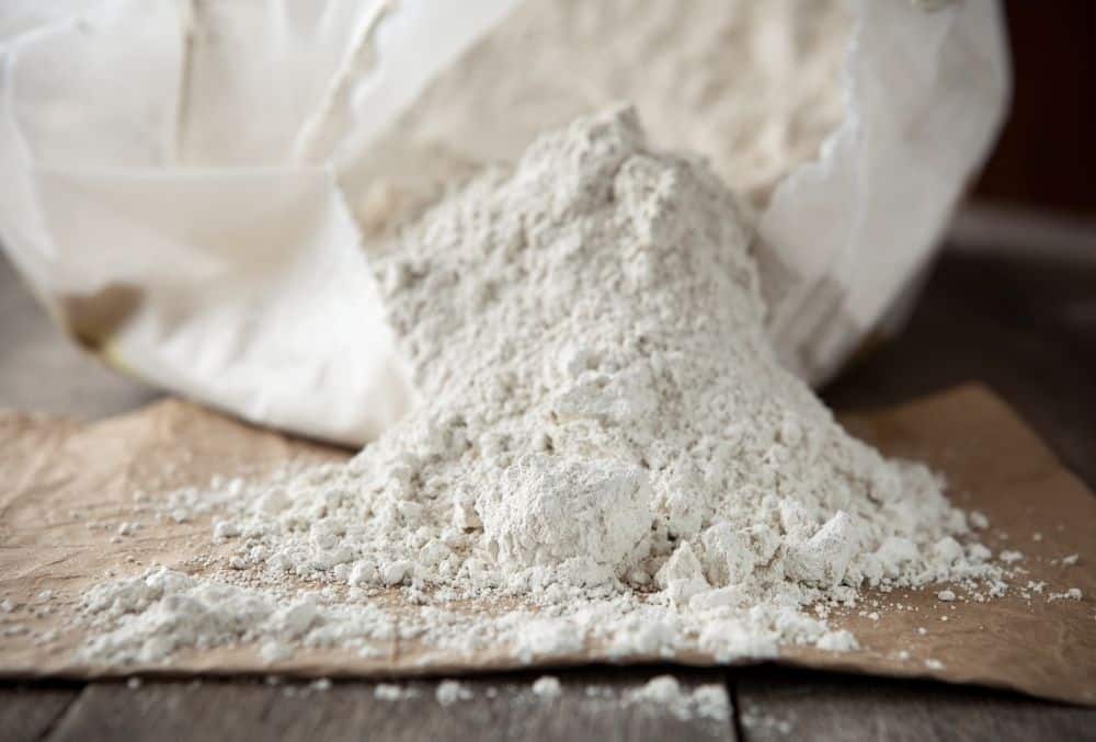 diatomaceous earth