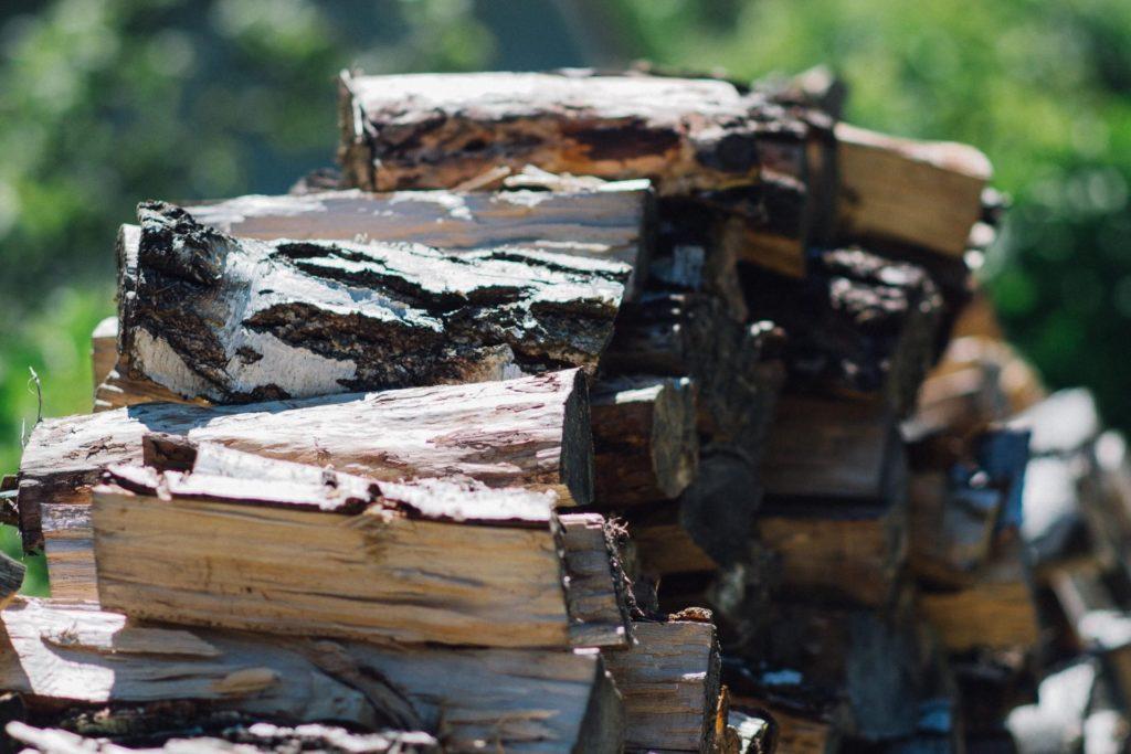 Gathering Wood for the campfire