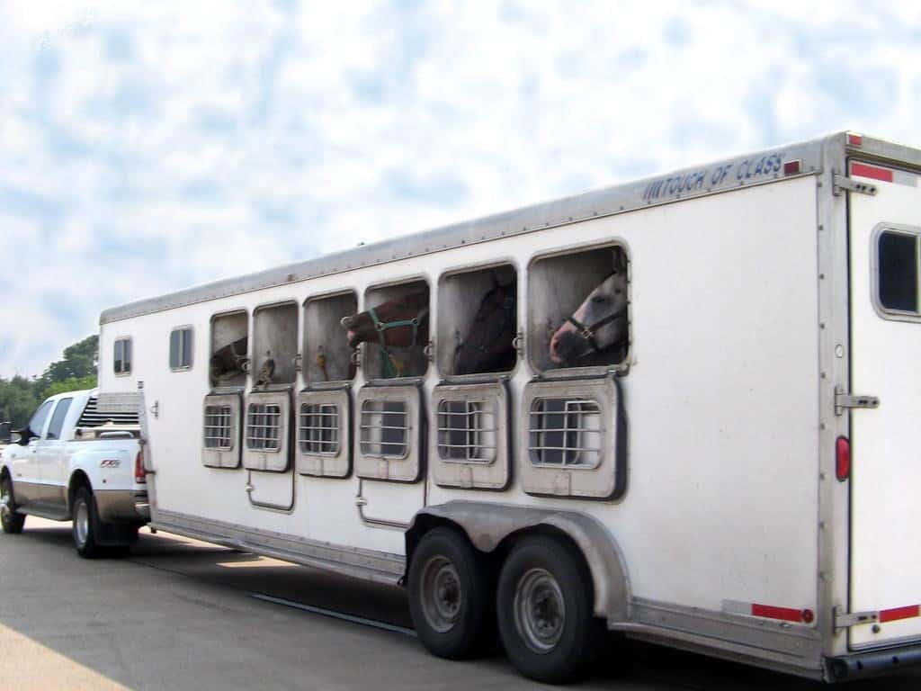 Horse trailers