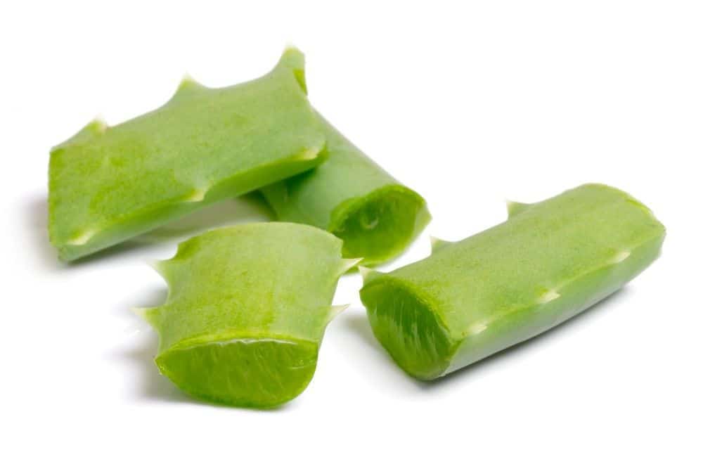 How To Store Aloe Vera Leaf 4 store aloe vera leaf