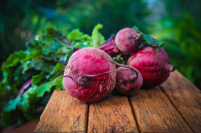 garden beets