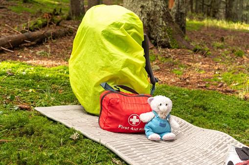 17 Survival Tools for Camping with Kids 3 kids camping bag