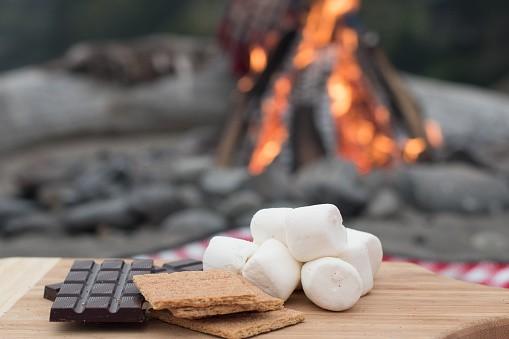 camping kids marshmellows